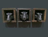 Watchers dark bkgd w