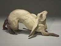 CAV 0032 Sometimes Shadows Move w