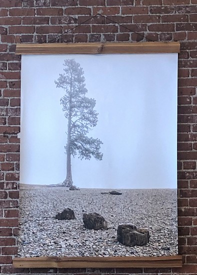 JR McCurdie, Beach Tree
2021, photography on canvas