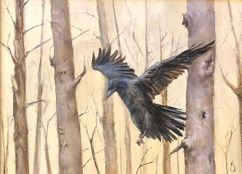 the crow erin schulz