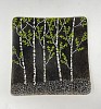 WHTT 0004 Green Aspen Square Plate