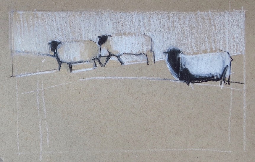 Kathy Gale, Irish Sheep Study #1
2019, charcoal & pastel on paper