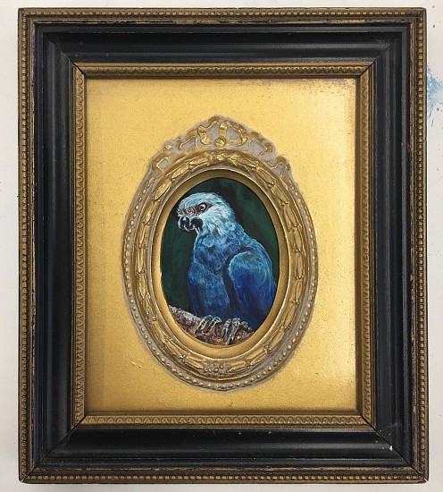 Mary Frances Dondelinger, Spix McCaw- Extinct
2019, egg tempera on wood panel