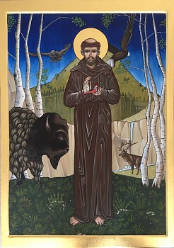 don 0119 st. francis nw