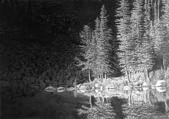 fluc 0007 shock wave med