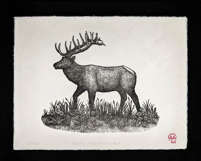 David Miles Lusk, Rocky Mountain Elk
2021, Relief block print on Kozo paper