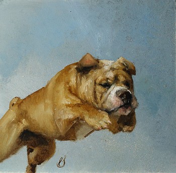 sche 0020 determined