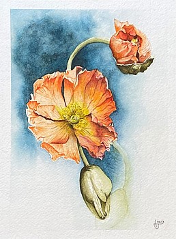 jou 0003 joubert orange bliss