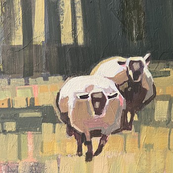 gal 0358 here we come