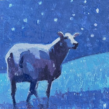 gal 0362 starry night