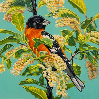 black head s bouquet