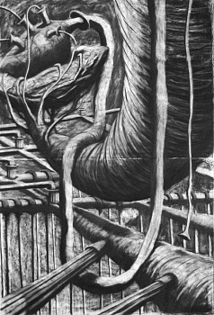 hor 0432 earthmachineadoption