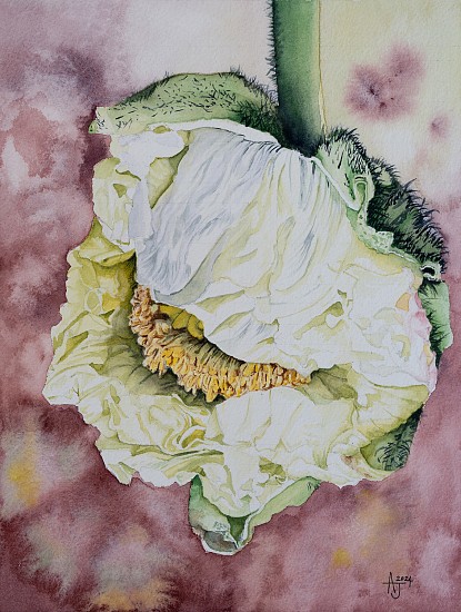 Allan Joubert, Awakening
2024, Watercolor on 300lb cold pressed 100% cotton