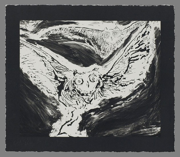 Frank Boyden, Goyas Owls - Edition 6/15
unframed Cliche Verra