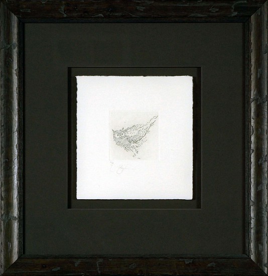 Frank Boyden, Delicate Owl - Etching #7 - A/P
etching