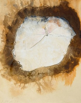 boy 0177 moth drawing