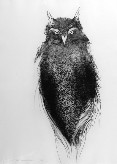 Frank Boyden, Pajaro de Brujas
framed drypoint