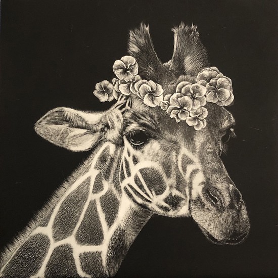 Jan Baird, Giraffe
2023, Scratchbord