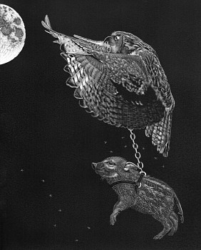 bair 0013 fly me to the moon 10x8