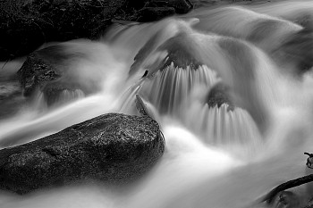 DECE 0002 GRANITE FALLS