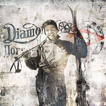 anst 0008 anstead dk label vintage ski man diamond sm