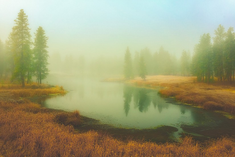 Mike DeCesare, Misty Morning
2024, photography