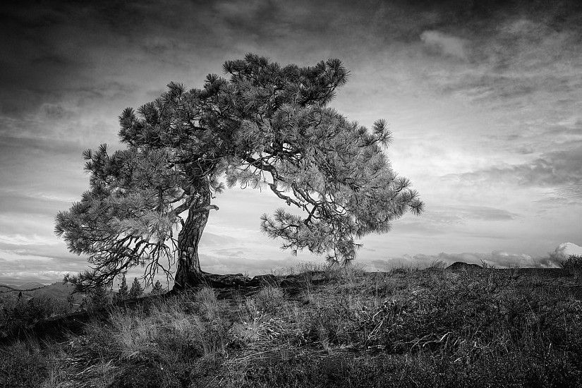 Mike DeCesare, Lone Pine
2024, photography