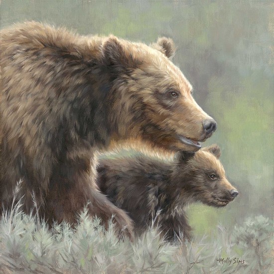 Molly Sims, 399 with Spirit Cub
oil