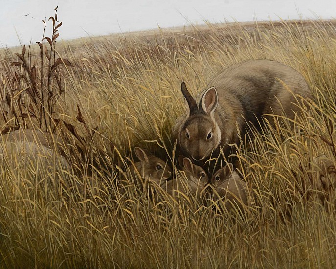 Stephanie Frostad
graphite & oil on wood panel