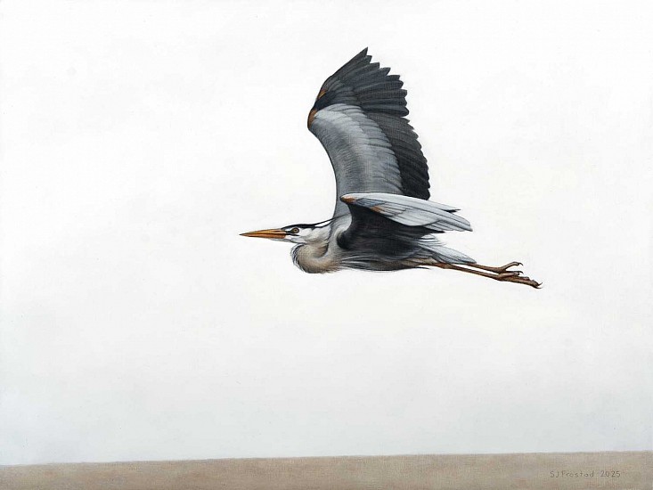 Stephanie Frostad
graphite & oil on wood panel
