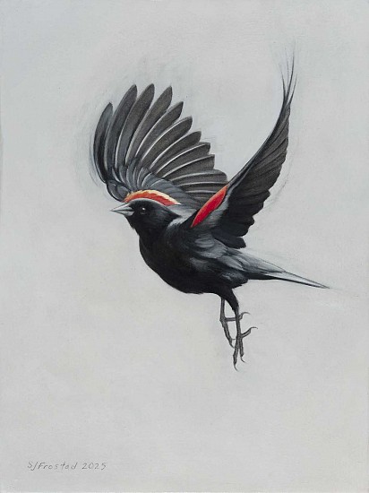 Stephanie Frostad
graphite & oil on canvas