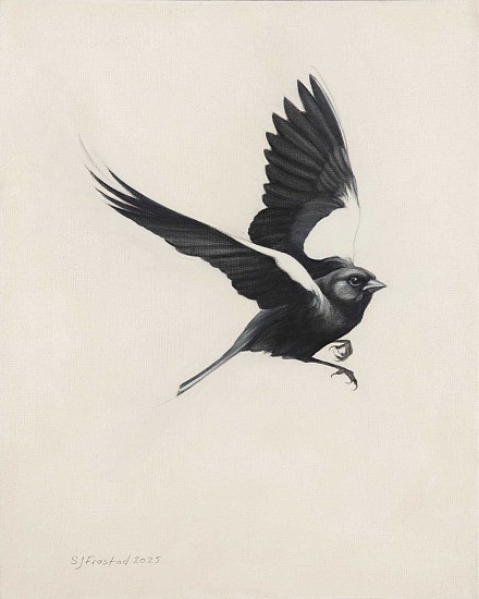 Stephanie Frostad
graphite & oil on canvas