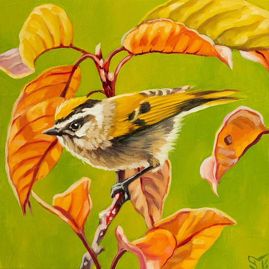 Sheila Evans
oil