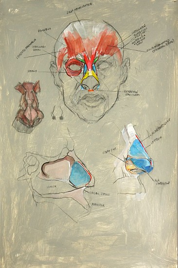 Peter Cox
Pastel and charcoal on paper