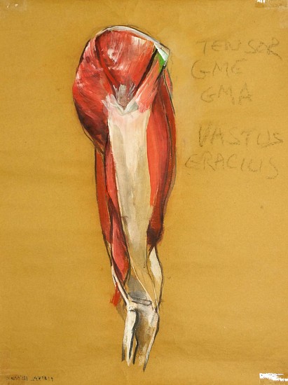 Peter Cox
Pastel and charcoal on paper