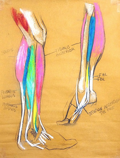 Peter Cox
Pastel and charcoal on paper