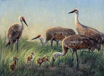 sims 0064 the babysitters club