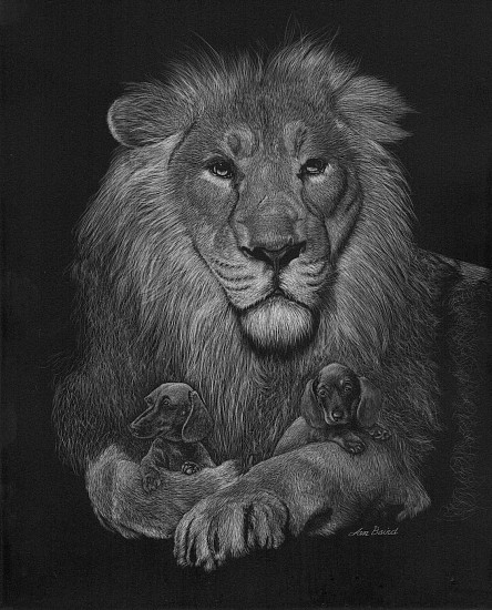 Jan Baird
Scratchbord