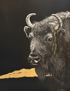 bair 0020 daydreaming