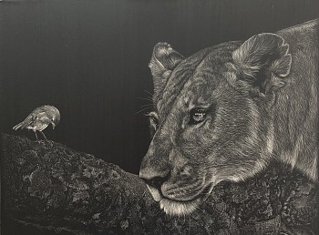 baird evening musings 8x10