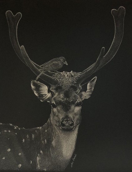 Jan Baird
Scratchbord