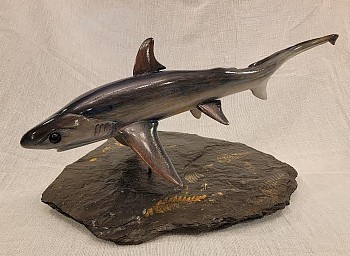 comp 0003 living fossil