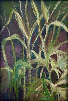 mac 0067 bank of the cda river.jpeg