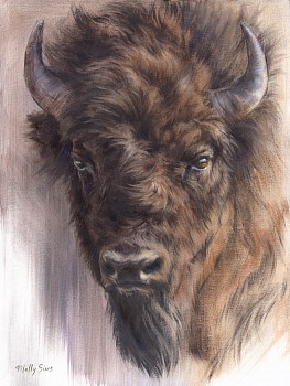 sim 0069 bison portrait