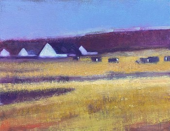 gal 0266 donegal dream study