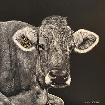 BAIR 0018 Cow with Golden Earring1