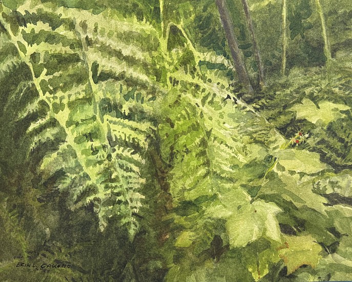 Erin Cassetto, Ferns and Berries
2025, varnished watercolor