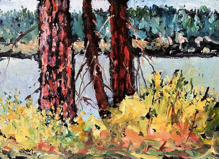 LR Montgomery, Camping on Coeur d'Alene Lake
2025