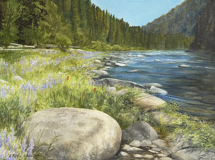 Erin Cassetto, Lupine of the North Fork
2025, watercolor