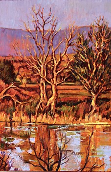 wil 0250 danubetrees